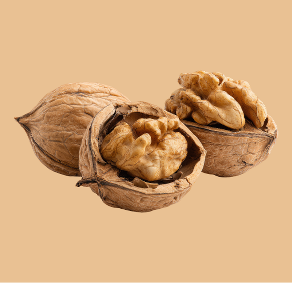 Cashews